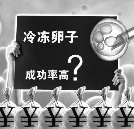 你能接受单身女性冷冻卵子吗冷冻卵子可以保持多久(单身可以冻卵子吗)