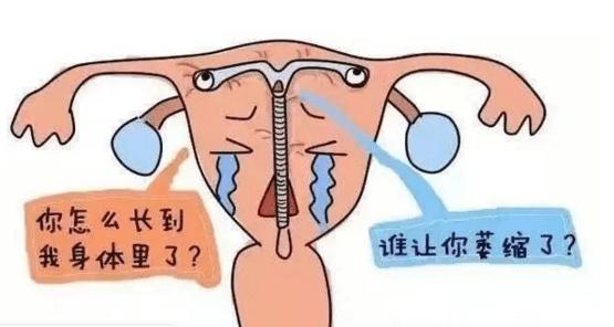 取环后可以清洗外阴吗取环后也要注意清洁(环取了多久可以洗下身子宫）