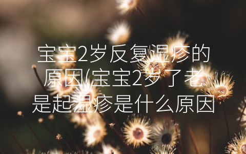 宝宝2岁反复湿疹的原因(宝宝2岁了老是起湿疹是什么原因)