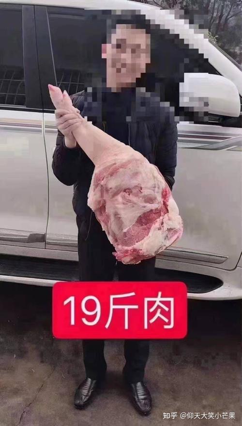 10斤肉多大