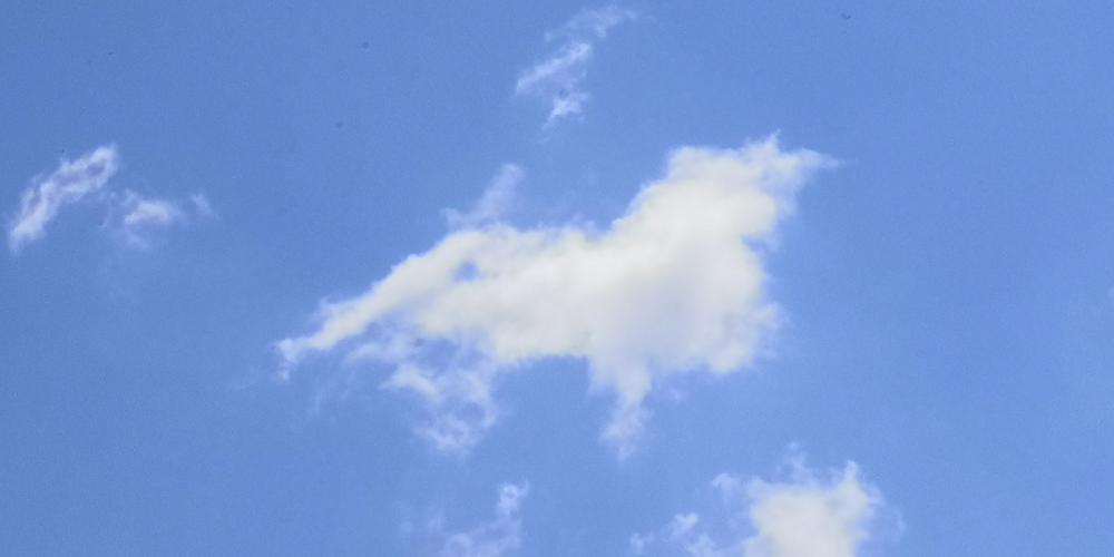 哪些人不适合吃芒果(吃芒果有助于减肥吗）