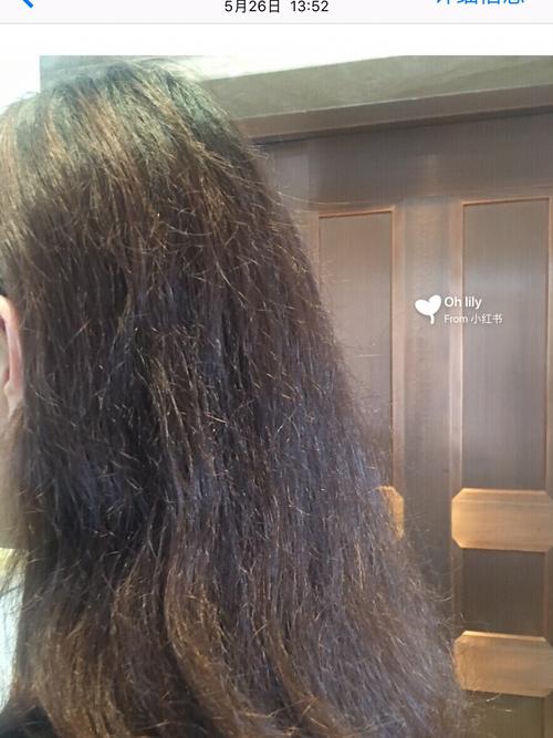 什么长相的男性,生育能力最强?(生育能力最强的皇帝)