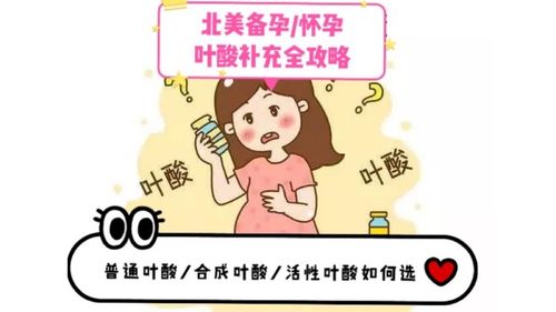 叶酸备孕吃多少剂量(备孕期叶酸吃多大剂量）