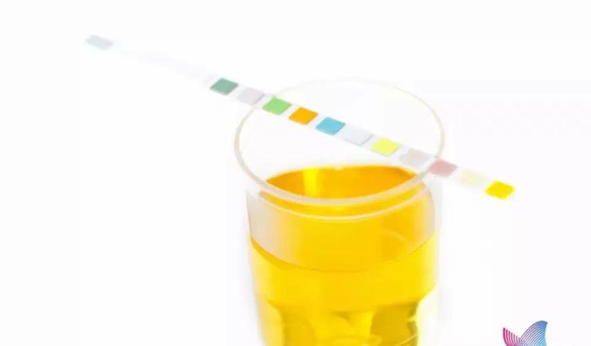 半小时测孕棒两条杠怎么回事(验孕试纸放了半小时又出来第二条杠）