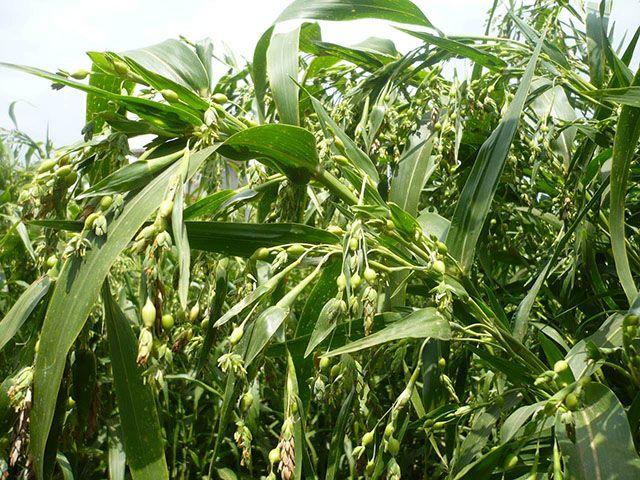 划重点！0-3个月宝宝护理：少抱多躺不摇晃,两个部位勤换洗(护理质控月总结）