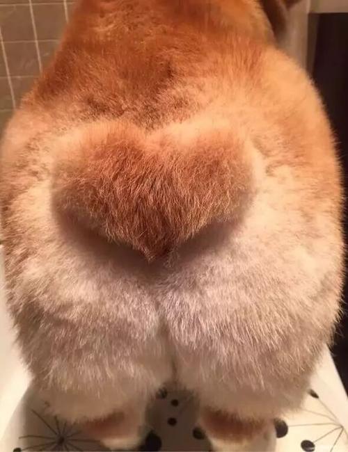 产褥期戴避孕套同房好吗(戴套）