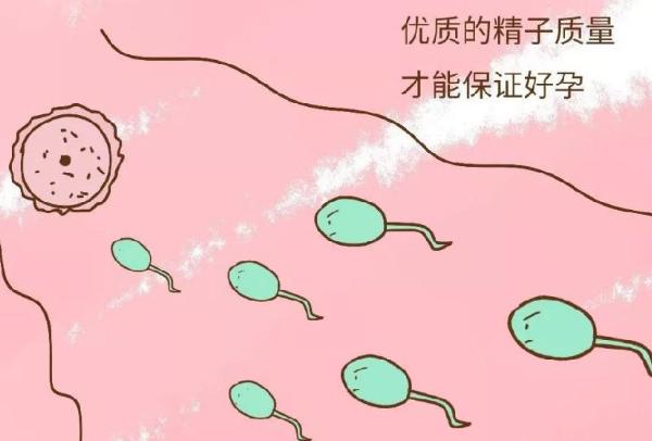 哪个季节受孕最好？你知道有哪些备孕注意事项吗？(备孕什么时候的精子质量最好）