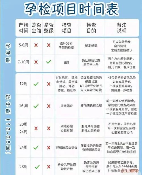 准备怀孕不能体检什么(备孕体检不能做什么项目)