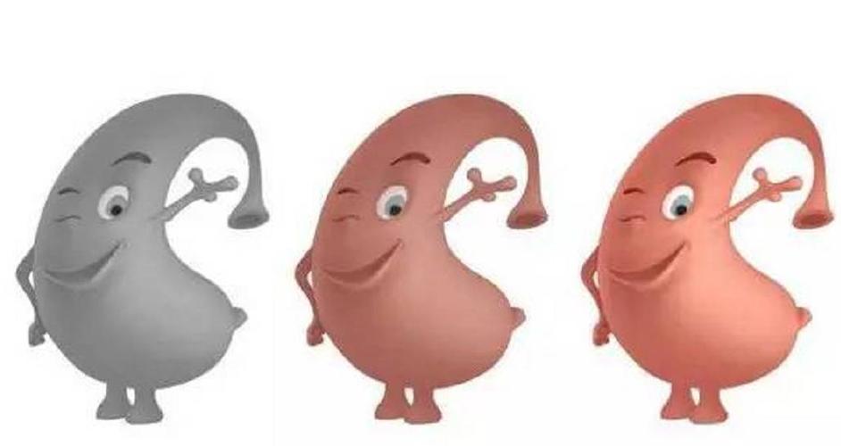 体寒的人适合吃燕麦片吗(燕麦是凉性的吗）