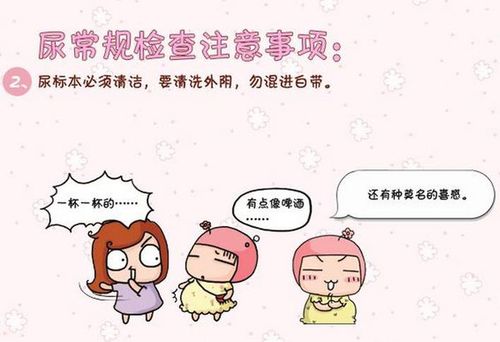 体检后几个月可以怀孕(怀孕了多久体检一次)