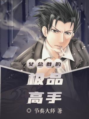 叶枫是哪部小说主角