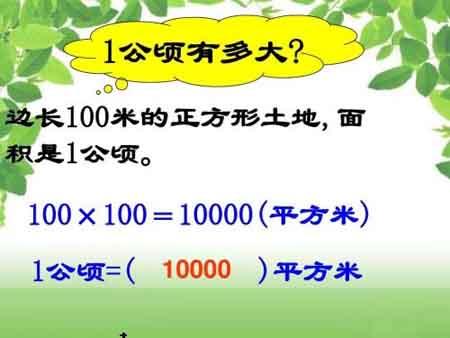 1300尺有多少平方