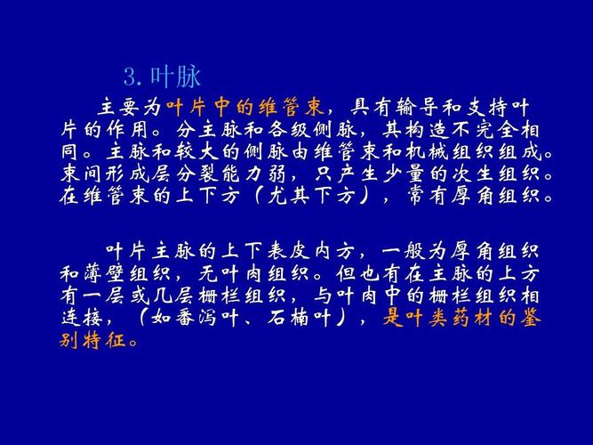 叶字属于五行属什么