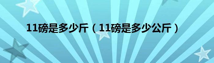 11磅多少斤