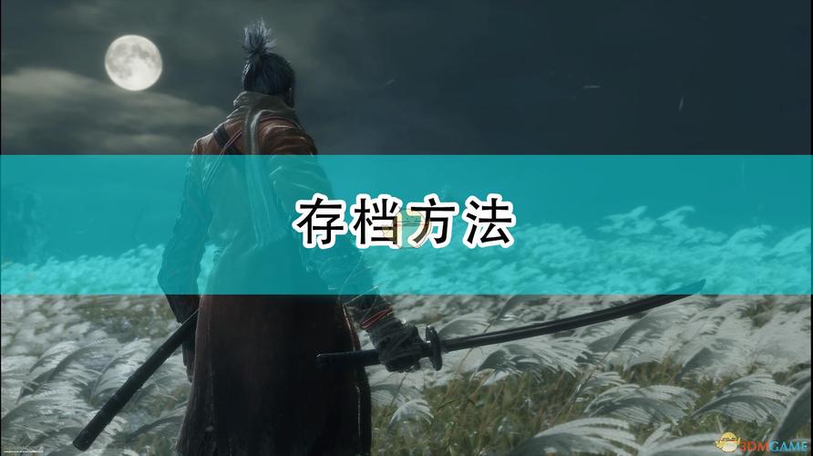 只狼怎么存档-只狼存档怎么弄