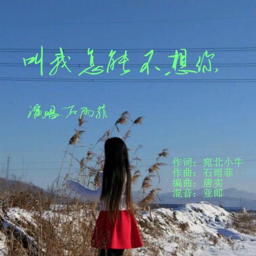 可不可以不想你是什么歌