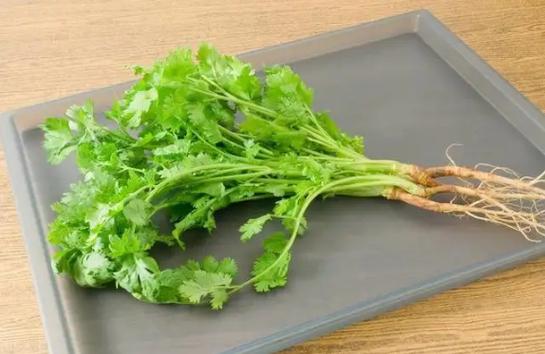 吃香菜会变黑吗