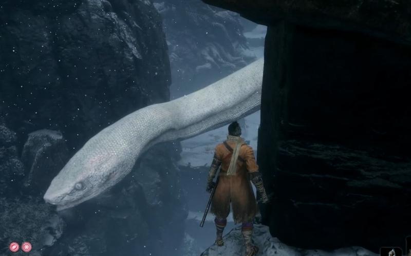 只狼白蛇怎么通过