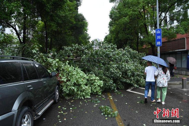 12级大风是什么概念