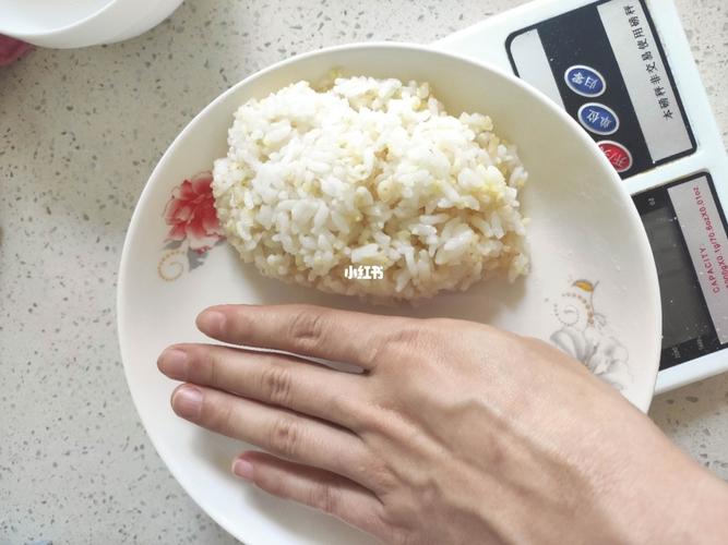 100g熟米饭多少碳水