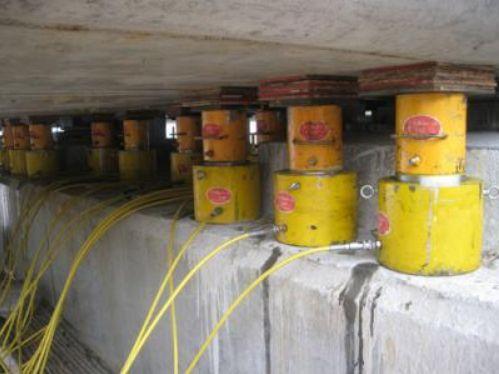 台帽是什么部位