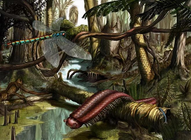 史前巨大昆虫称霸地球是哪个时代