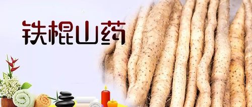 吃山药对身体的好处是什么