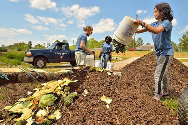 可堆肥的垃圾有哪些
