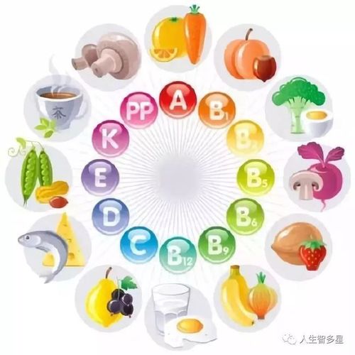 吃素和吃斋有什么区别