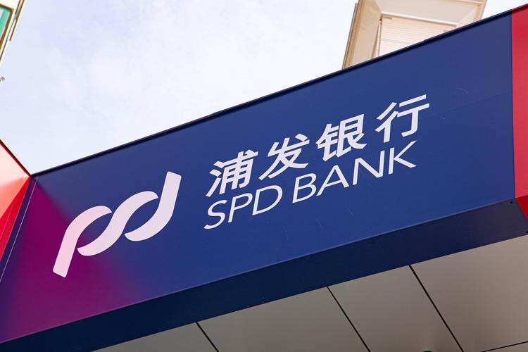 02195528是浦发银行吗