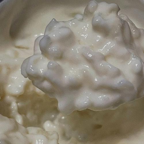 可否用牛奶煮饭