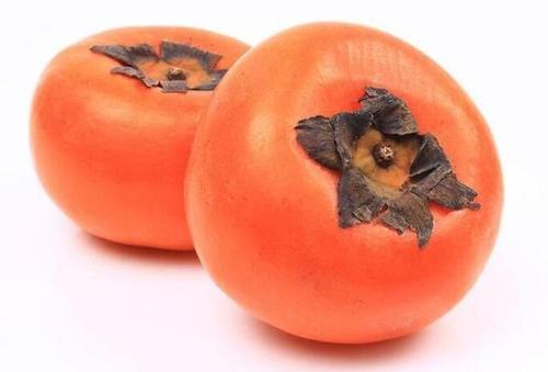 吃了柿子能喝茶吗一一