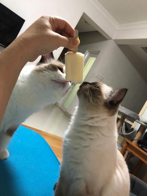 吃雪糕是什么梗