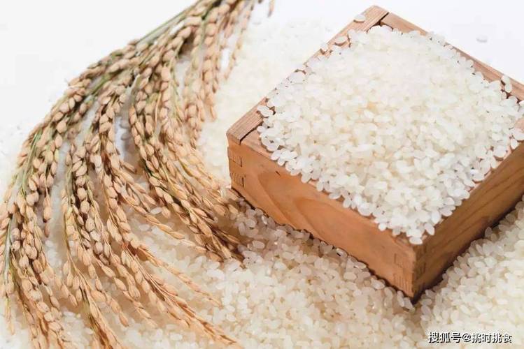 100克大米可以煮多少饭知乎