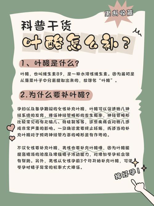 叶酸的食物有哪些