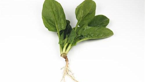 吃波莱粥有什么好处