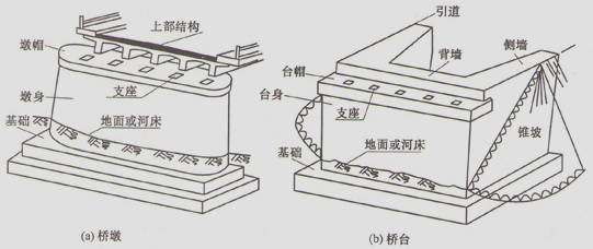台帽是什么部位