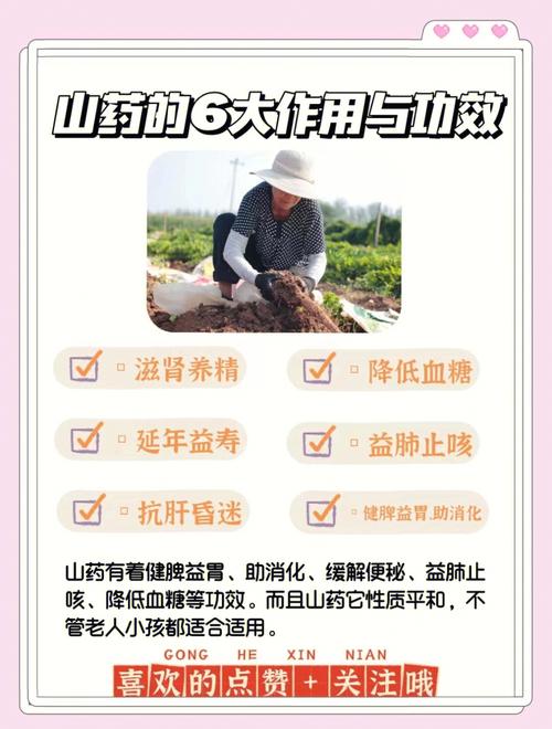 吃山药对身体的好处是什么