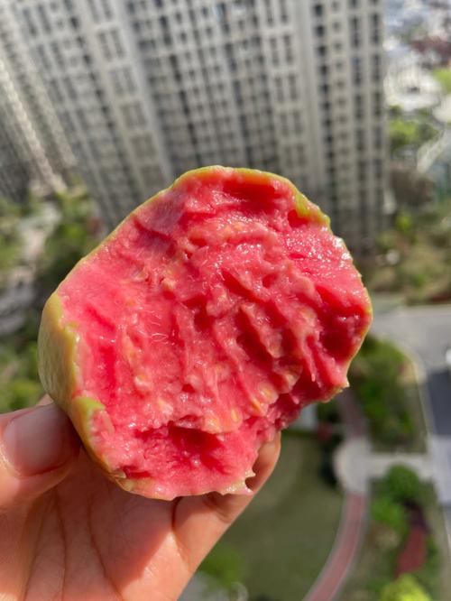 台湾红心芭乐怎么吃