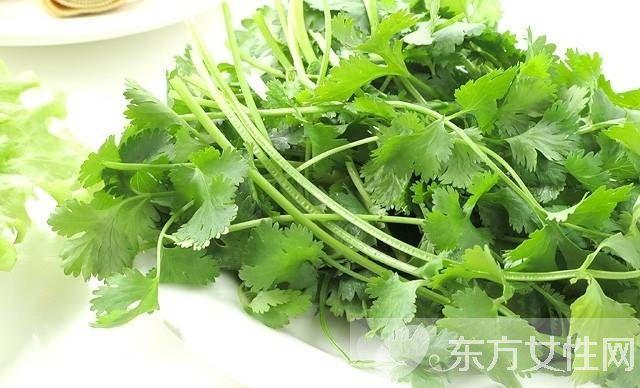 吃香菜可以降火吗
