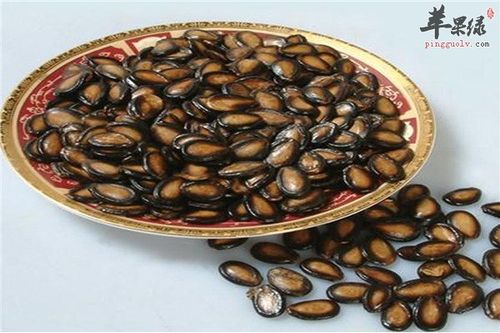 吃西瓜子会胖吗