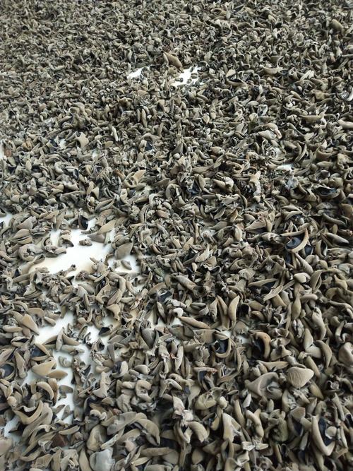 台蘑酱的制作方法