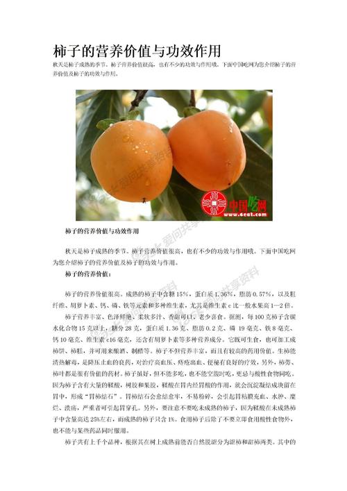 吃柿饼能喝茶水吗