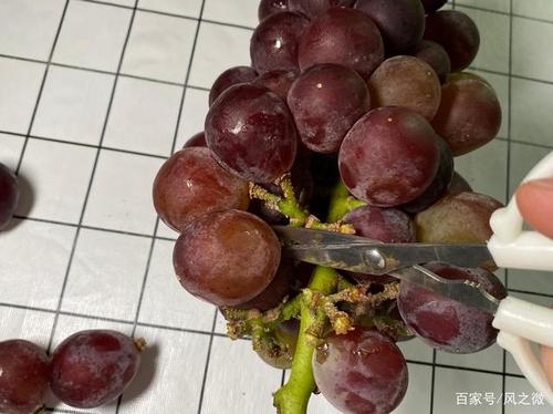 吃葡萄要吐皮吗