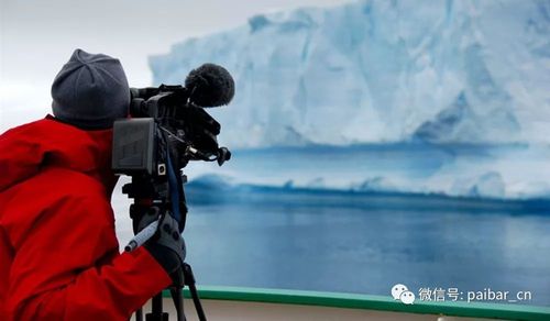 司问渠是什么电视