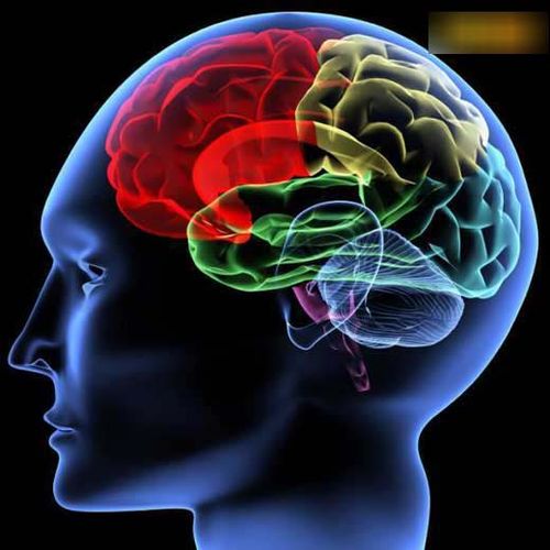 右脑控制什么思维