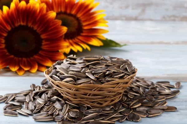 吃葵花瓜子有什么好处和坏处
