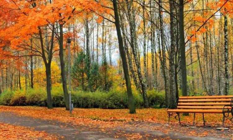 10月份是什么季节