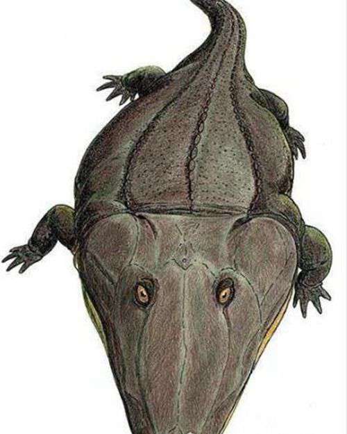 史前霸王蝾螈是什么动物