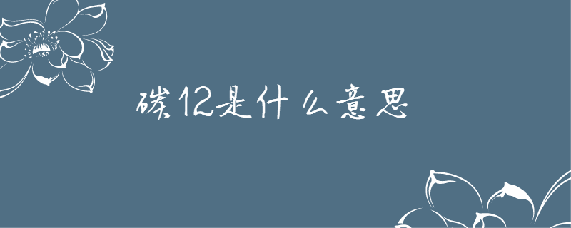 12是什么意思